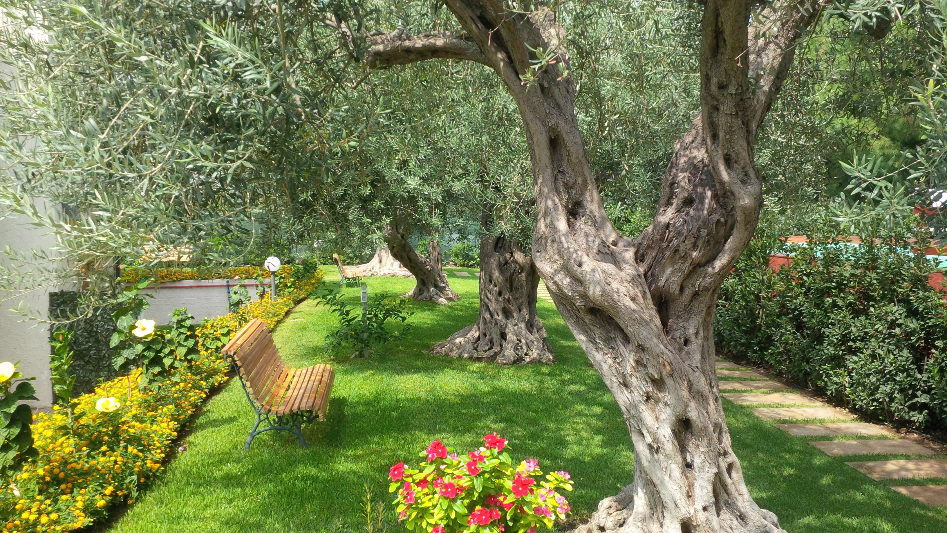 Villa Collina Giardini-Naxos Kültér fotó